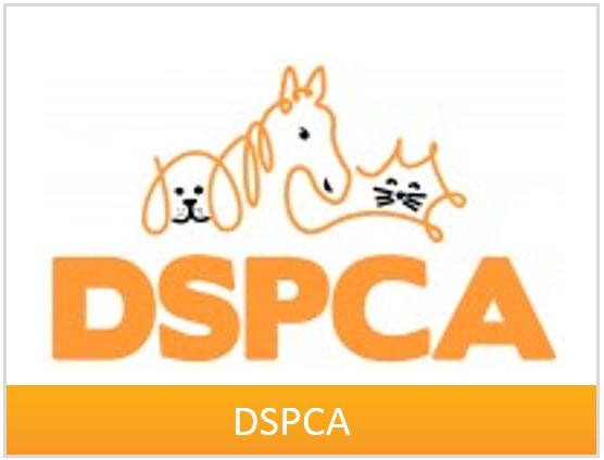 box-dspca.jpg