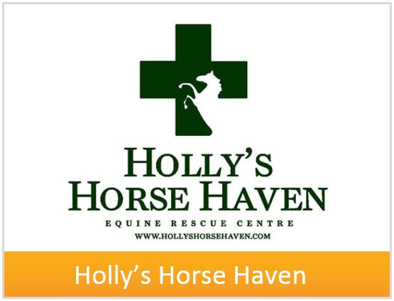 box-hollys-horse-haven.jpg