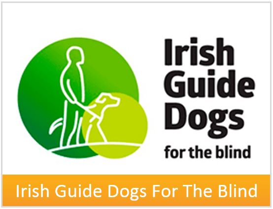 box-irish-guide-dogs-for-the-blind.jpg