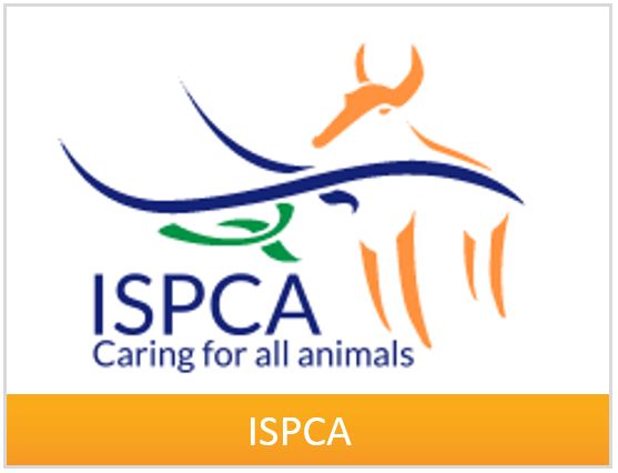 box-ispca-2.jpg