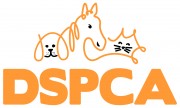 vet-hospital-at-dspca-180x108.jpg